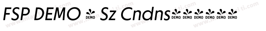 FSP DEMO - Sz Cndns字体转换